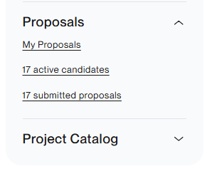 Upwork profile metrics showing 489 profile views in 2026